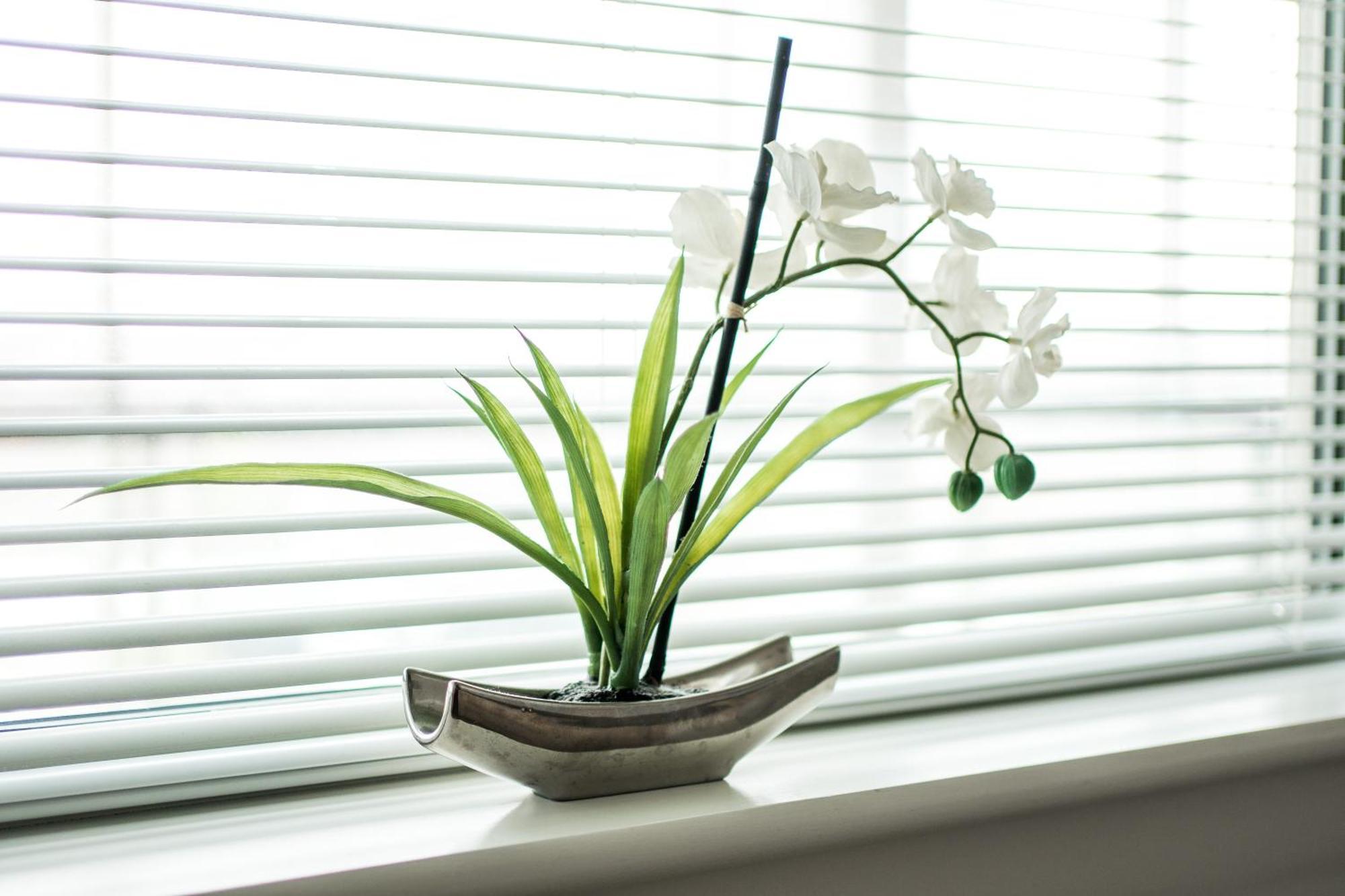 Canning Town -2 Bed Luxury Apartment ロンドン エクステリア 写真